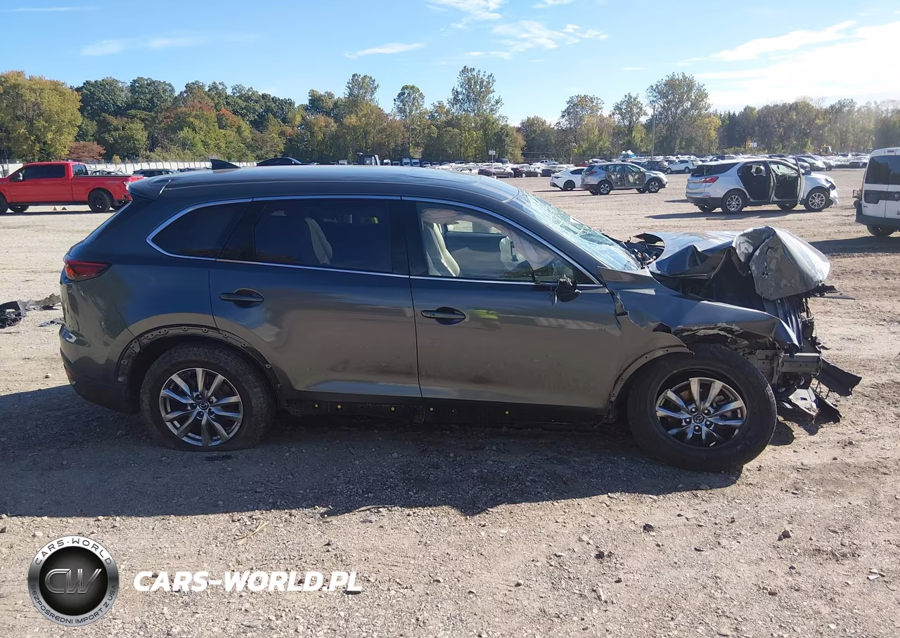 2019 Mazda Cx-9 Touring VIN:JM3TCBCY3K0335877 - 14