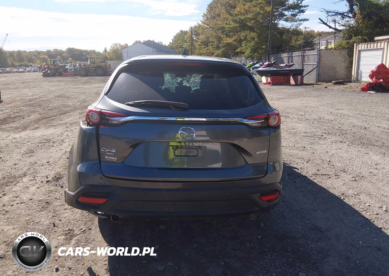 2019 Mazda Cx-9 Touring VIN:JM3TCBCY3K0335877 - 17