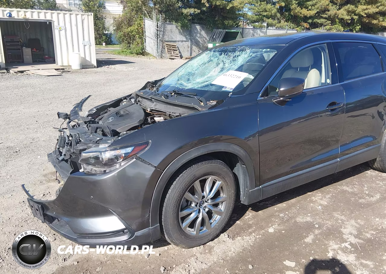 2019 Mazda Cx-9 Touring VIN:JM3TCBCY3K0335877 - 19