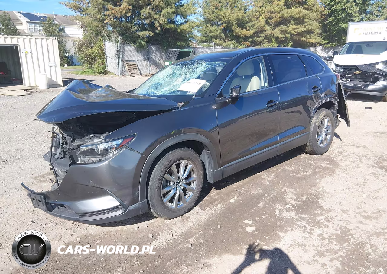 2019 Mazda Cx-9 Touring VIN:JM3TCBCY3K0335877 - 2