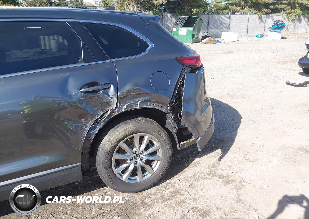 2019 Mazda Cx-9 Touring VIN:JM3TCBCY3K0335877 - 20