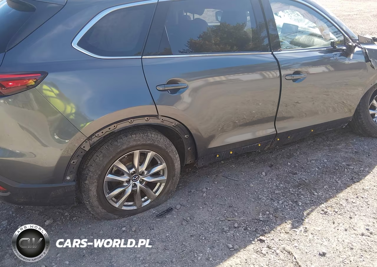 2019 Mazda Cx-9 Touring VIN:JM3TCBCY3K0335877 - 21