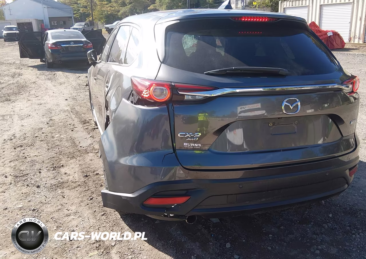 2019 Mazda Cx-9 Touring VIN:JM3TCBCY3K0335877 - 22