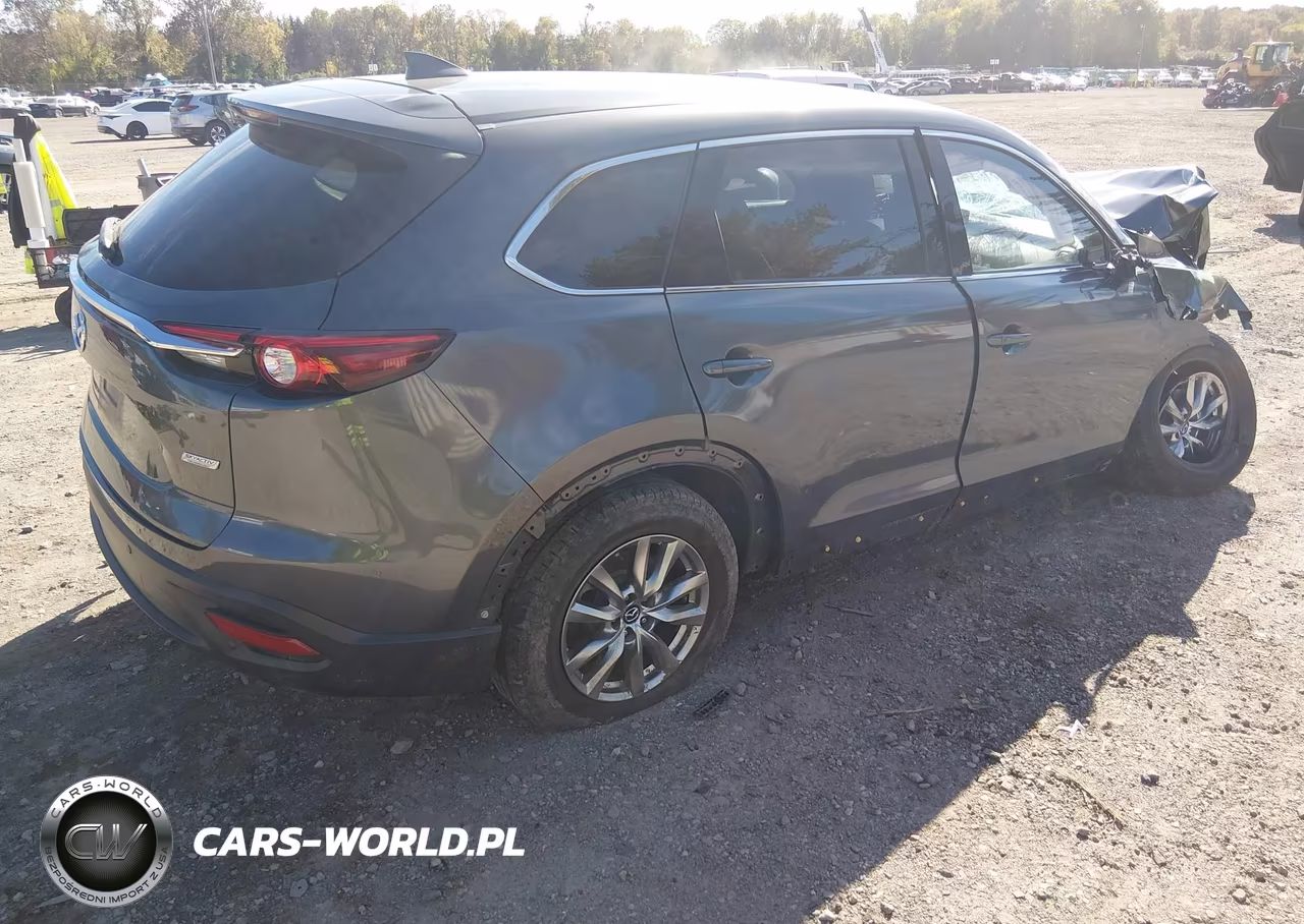 2019 Mazda Cx-9 Touring VIN:JM3TCBCY3K0335877 - 4
