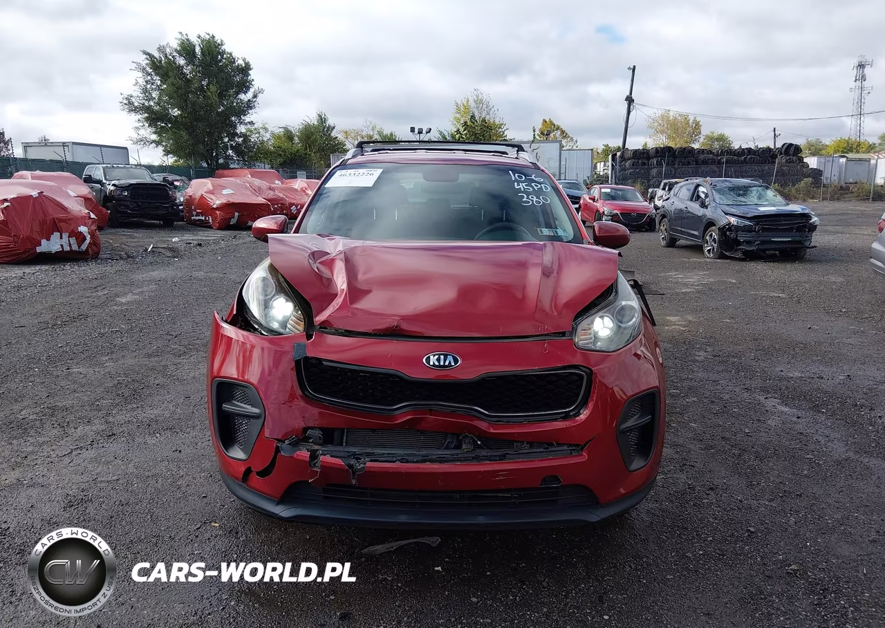 2019 Kia Sportage Lx VIN:KNDPM3AC7K7555163 - 12