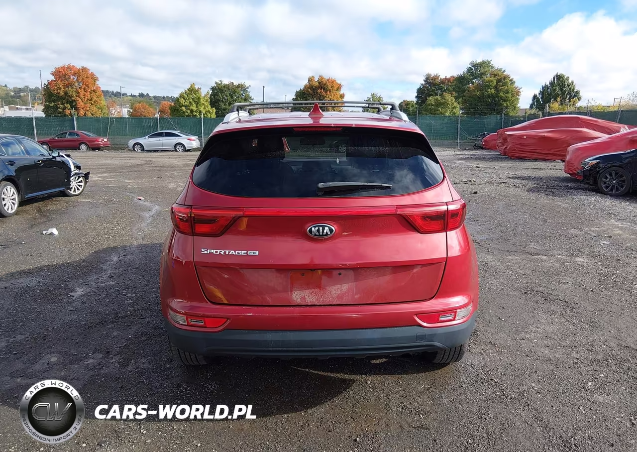 2019 Kia Sportage Lx VIN:KNDPM3AC7K7555163 - 16