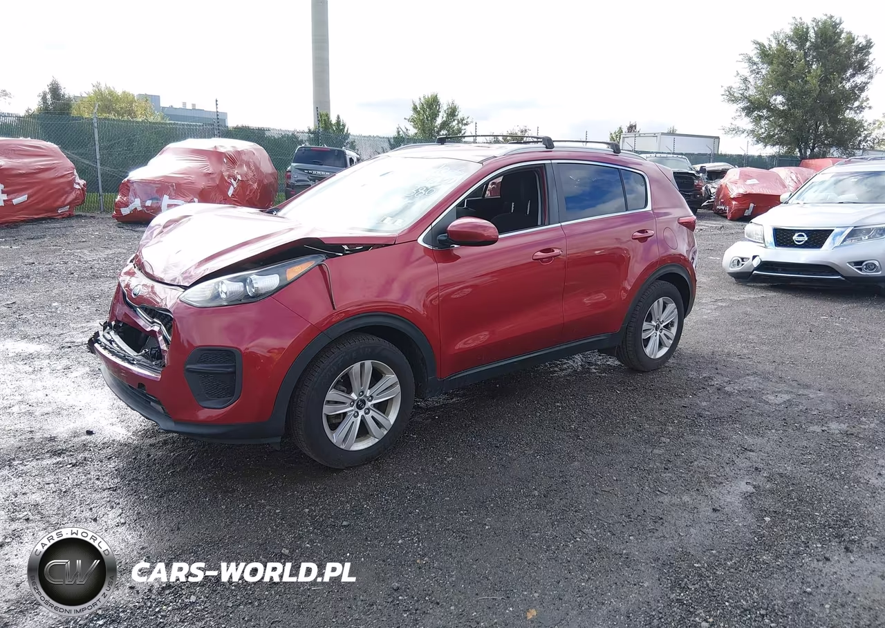 2019 Kia Sportage Lx VIN:KNDPM3AC7K7555163 - 2
