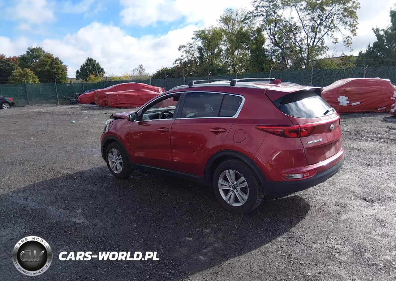 2019 Kia Sportage Lx VIN:KNDPM3AC7K7555163 - 3