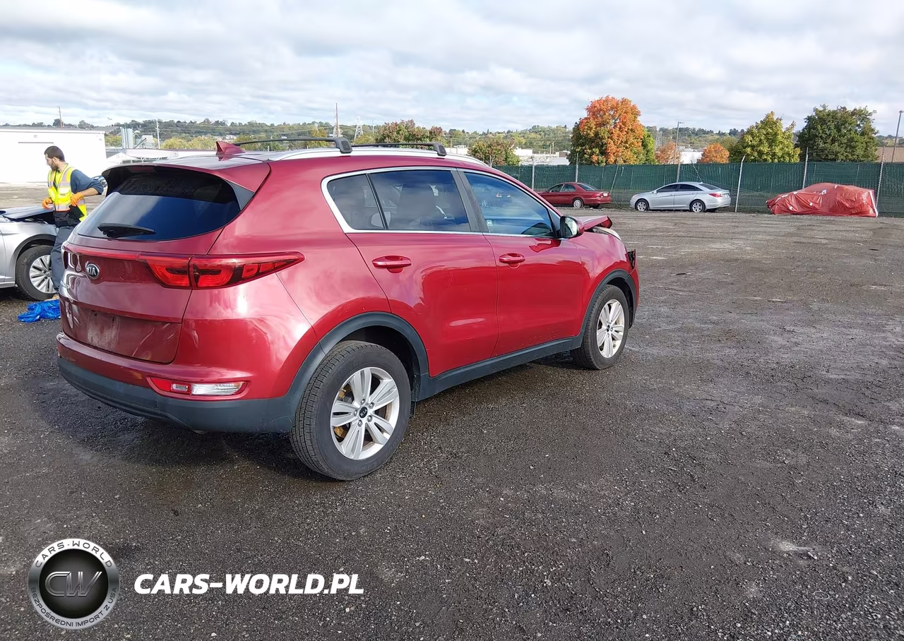 2019 Kia Sportage Lx VIN:KNDPM3AC7K7555163 - 4