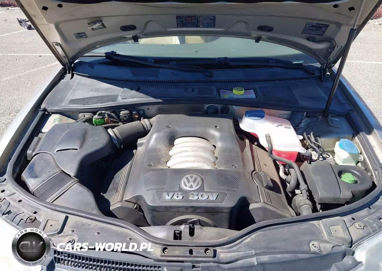 2004 Volkswagen Passat Glx VIN:WVWRH63B04P240646 - 10