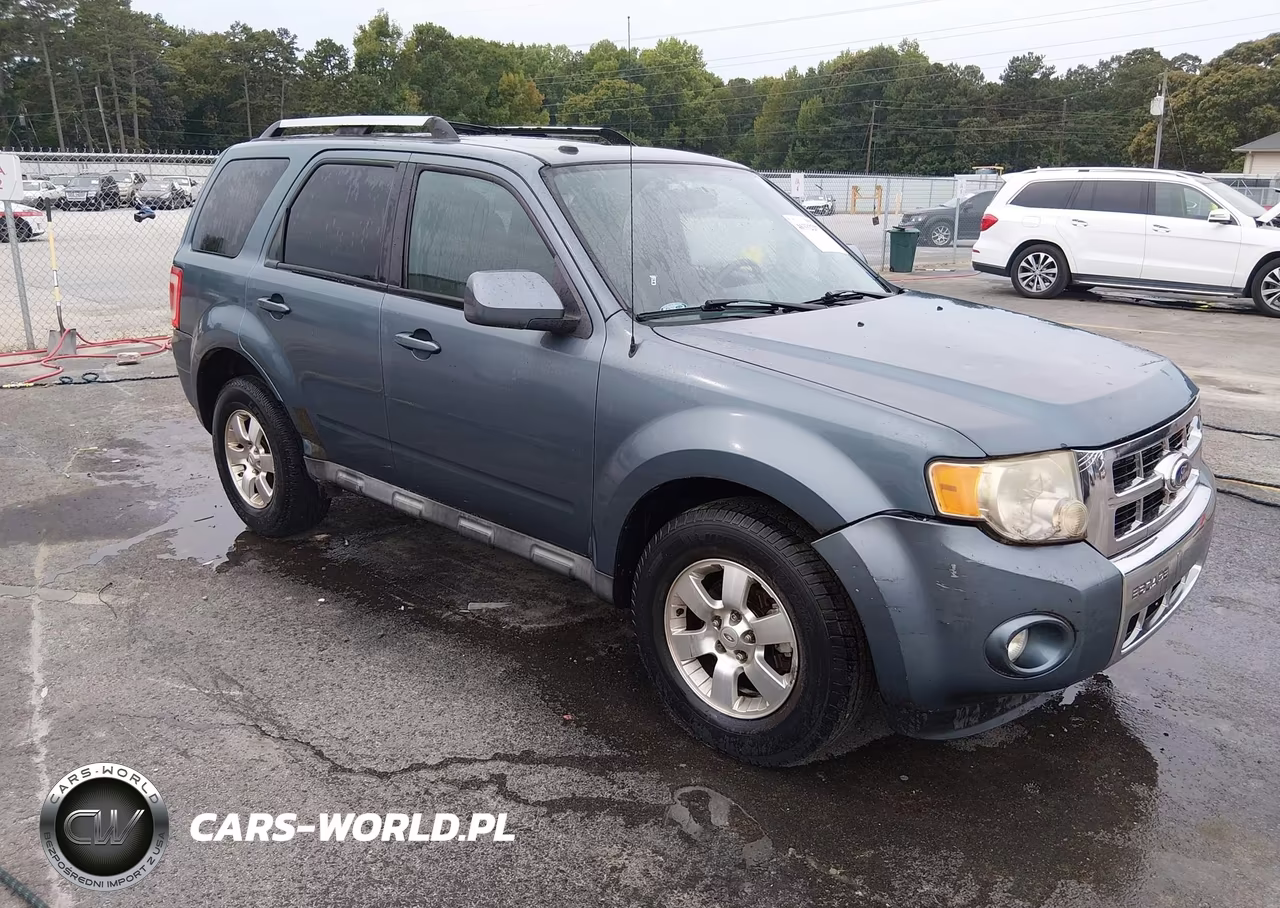 2010 Ford Escape Limited