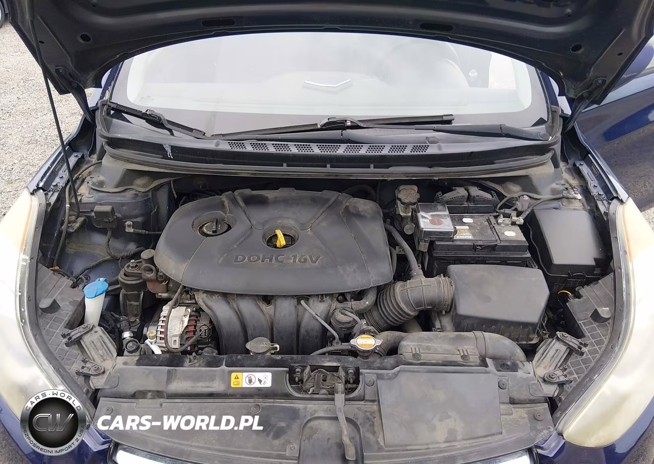2012 Hyundai Elantra Gls VIN:5NPDH4AE9CH122746 - 10