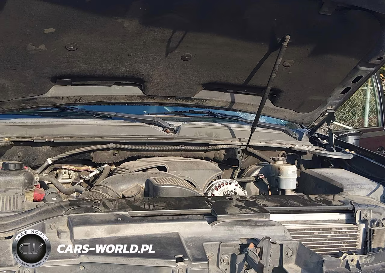 2010 Chevrolet Tahoe Lt VIN:1GNMCBE3XAR196797 - 10
