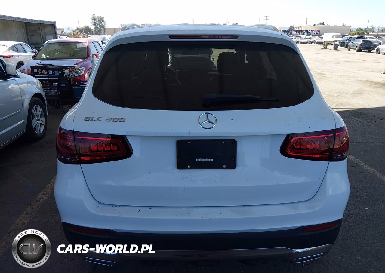 2020 Mercedes-Benz Glc 300 VIN:W1N0G8DBXLF836141 - 17