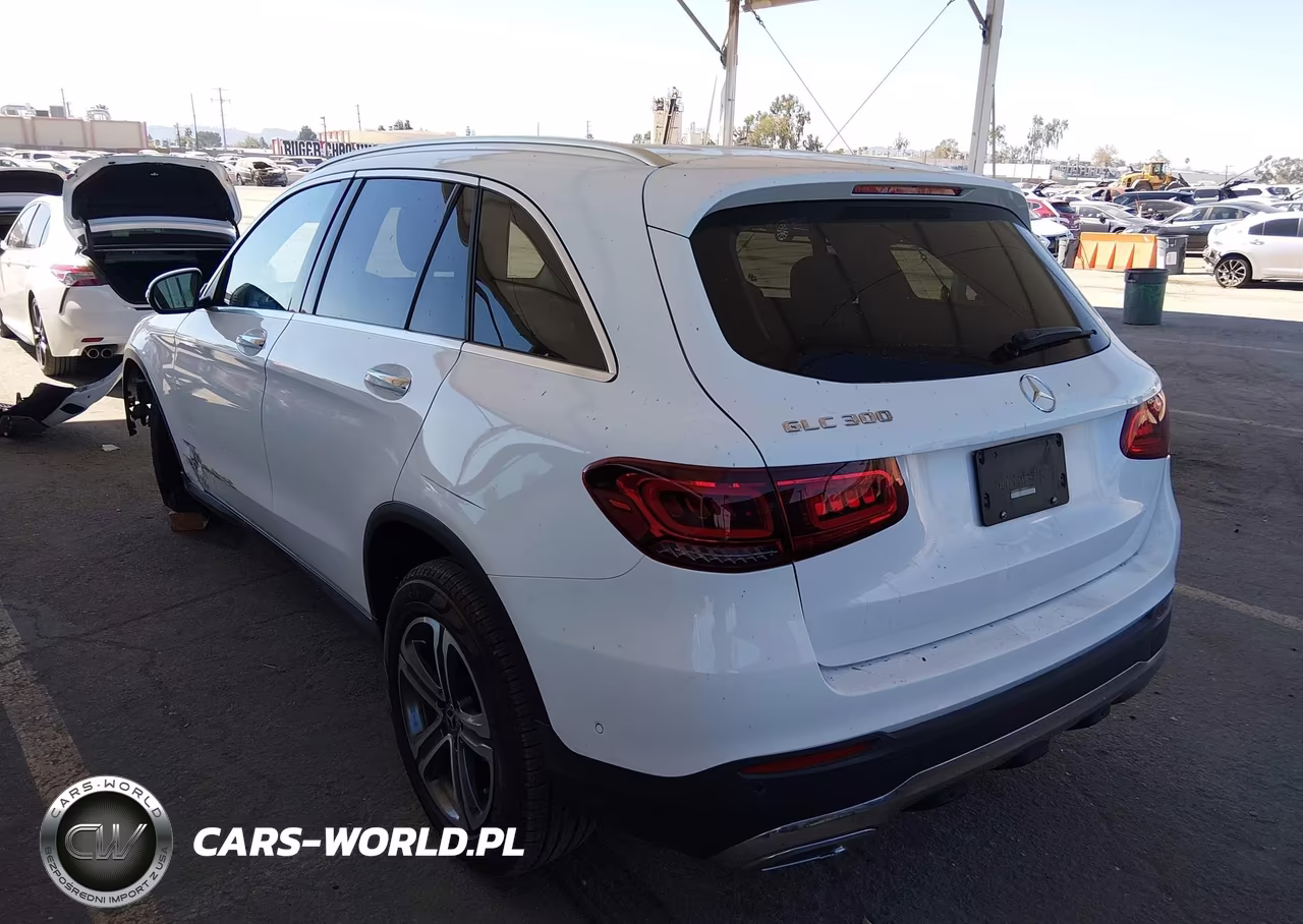 2020 Mercedes-Benz Glc 300 VIN:W1N0G8DBXLF836141 - 3
