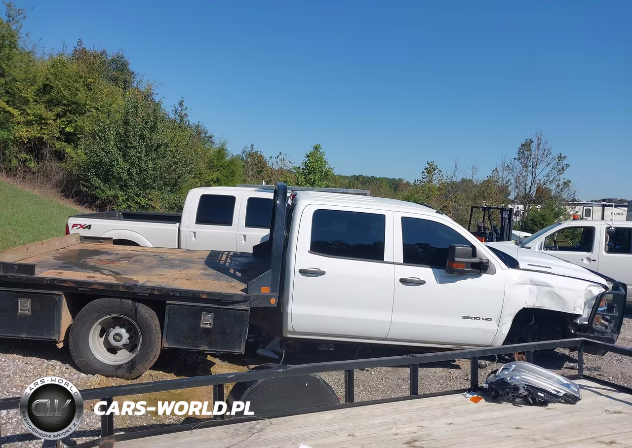 2017 Chevrolet Silverado 3500Hd Chassis Wt VIN:1GB4KYCY8HF214999 - 13