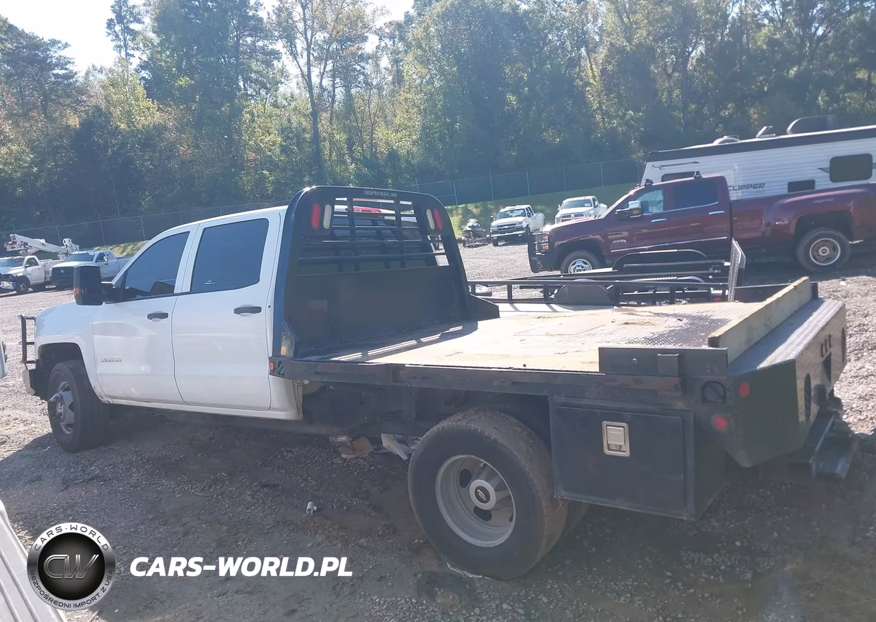 2017 Chevrolet Silverado 3500Hd Chassis Wt VIN:1GB4KYCY8HF214999 - 14