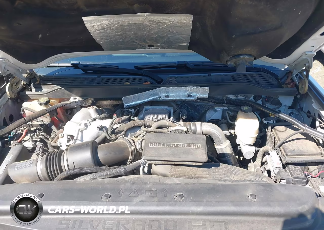 2017 Chevrolet Silverado 3500Hd Chassis Wt VIN:1GB4KYCY8HF214999 - 9