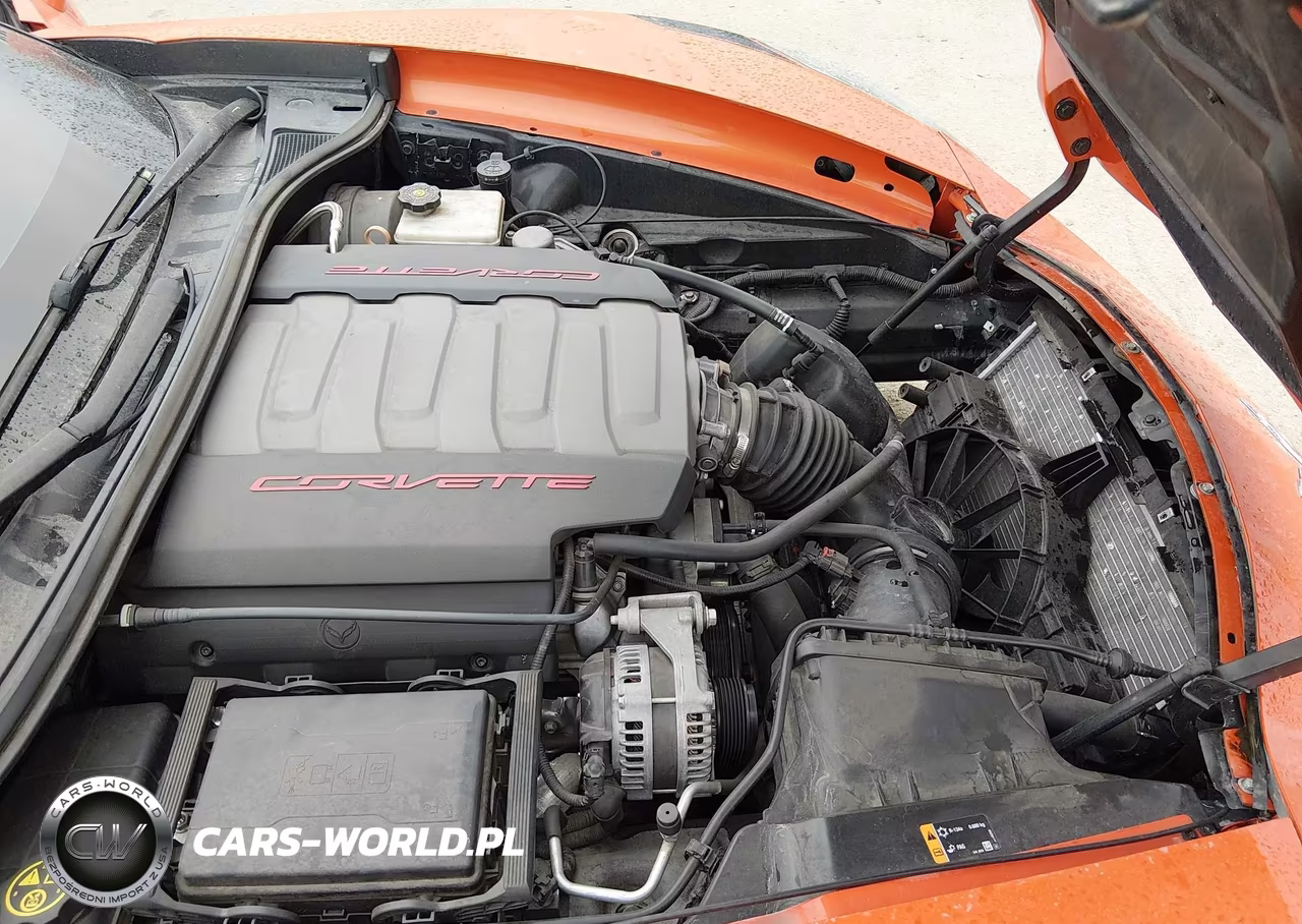 2019 CHEVROLET CORVETTE VIN:1G1YB2D74K5102125 - 10