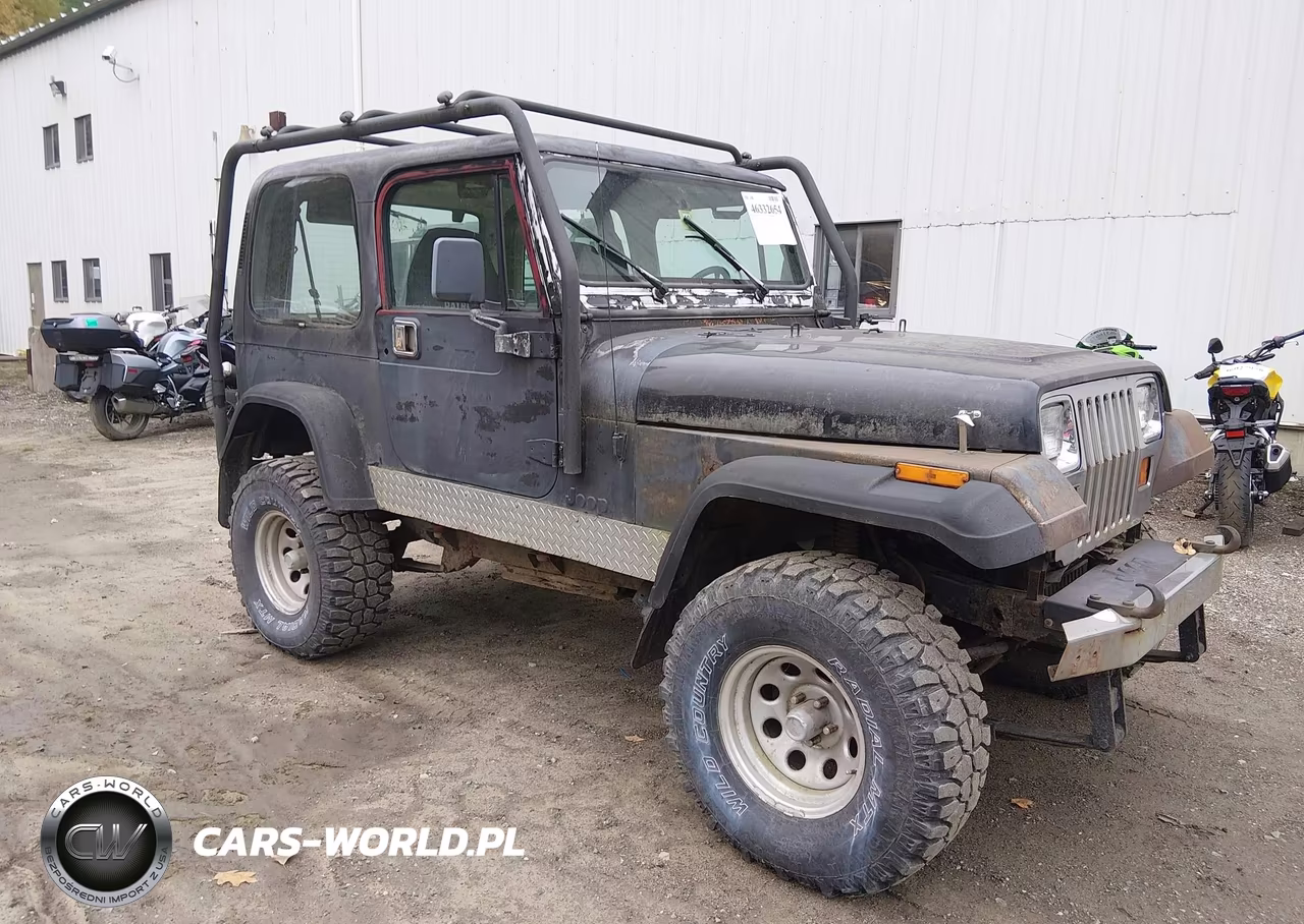 1995 Jeep Wrangler - Yj Se