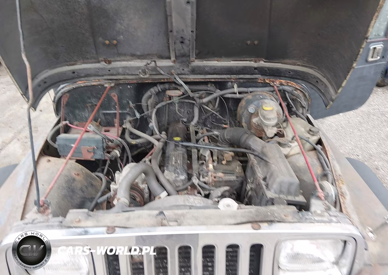 1995 Jeep Wrangler - Yj Se VIN:1J4FY29S1SP228225 - 10