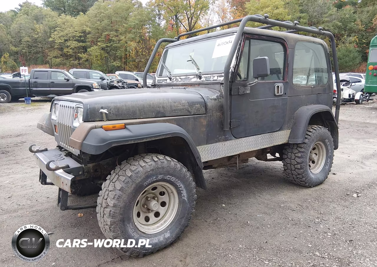 1995 Jeep Wrangler - Yj Se VIN:1J4FY29S1SP228225 - 2