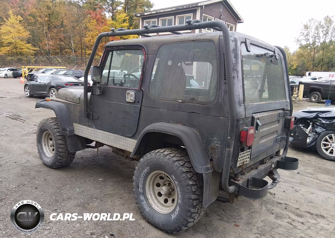 1995 Jeep Wrangler - Yj Se VIN:1J4FY29S1SP228225 - 3