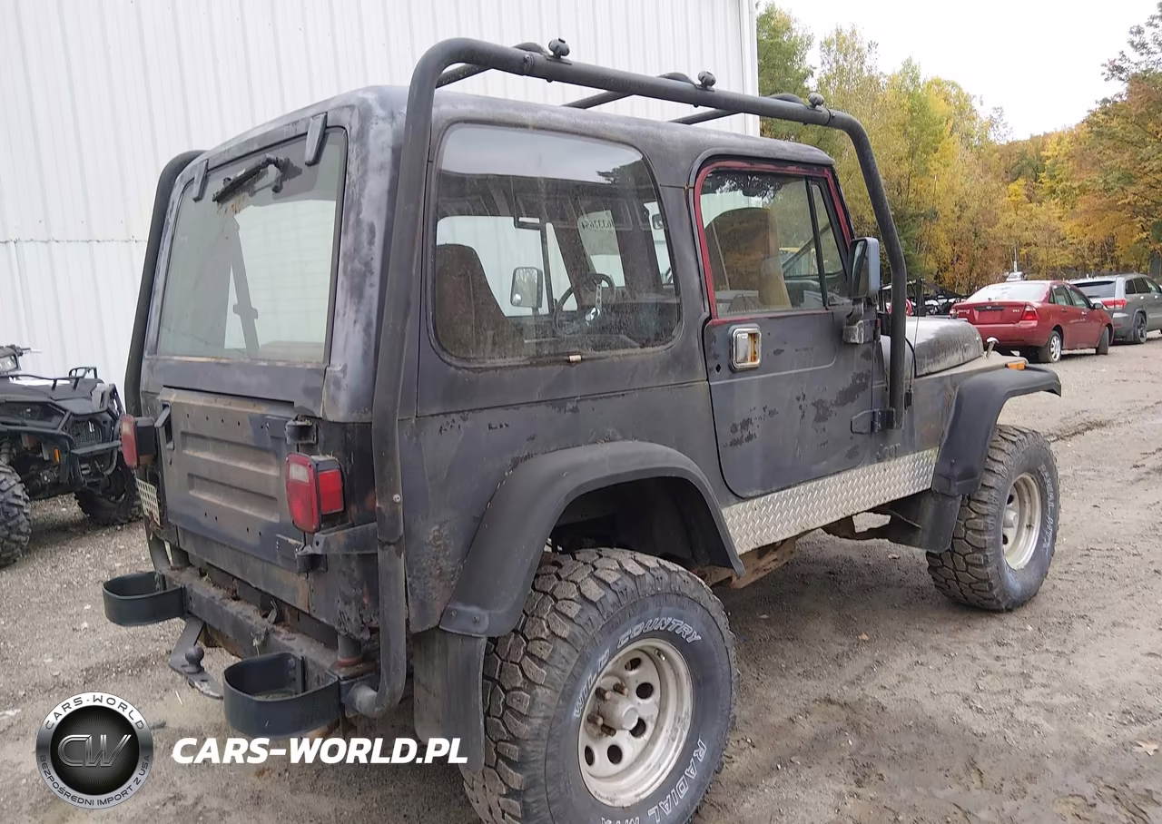 1995 Jeep Wrangler - Yj Se VIN:1J4FY29S1SP228225 - 4