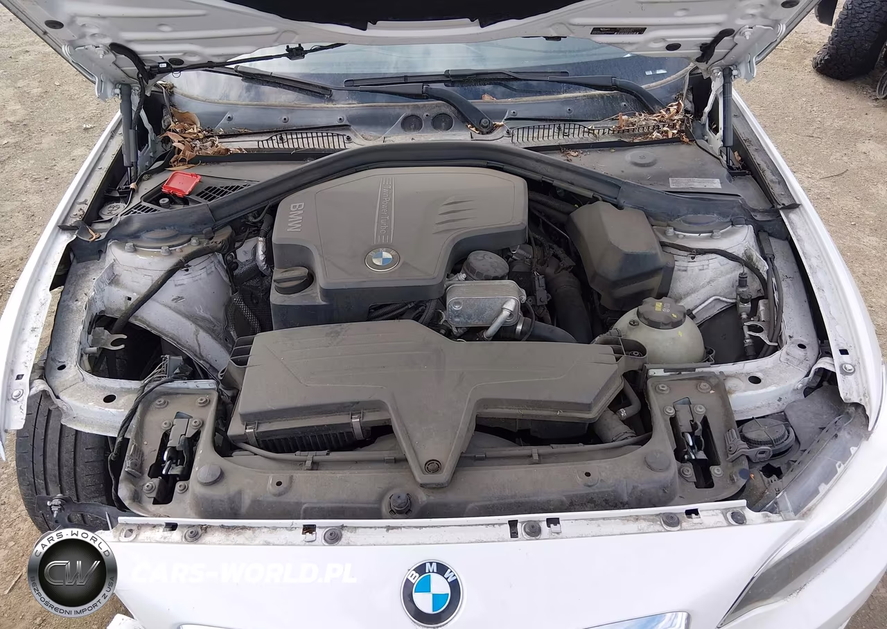 2015 BMW 228I VIN:WBA1F5C59FV257612 - 10