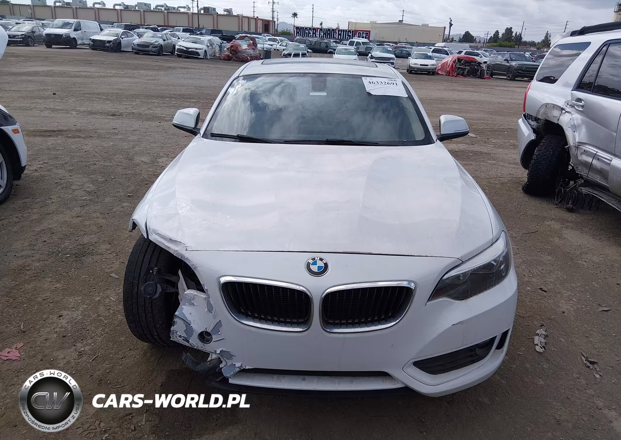 2015 BMW 228I VIN:WBA1F5C59FV257612 - 12