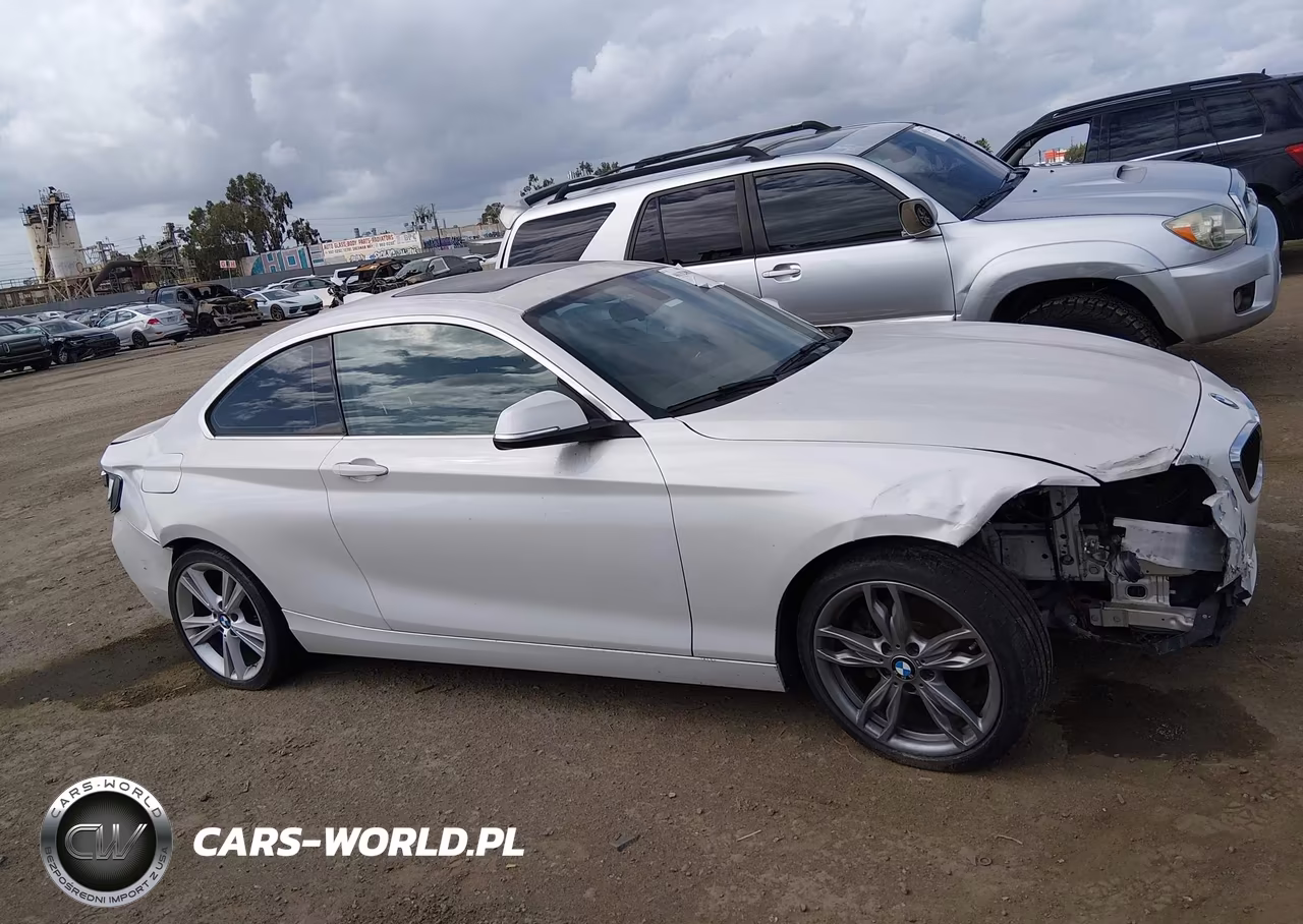 2015 BMW 228I VIN:WBA1F5C59FV257612 - 13