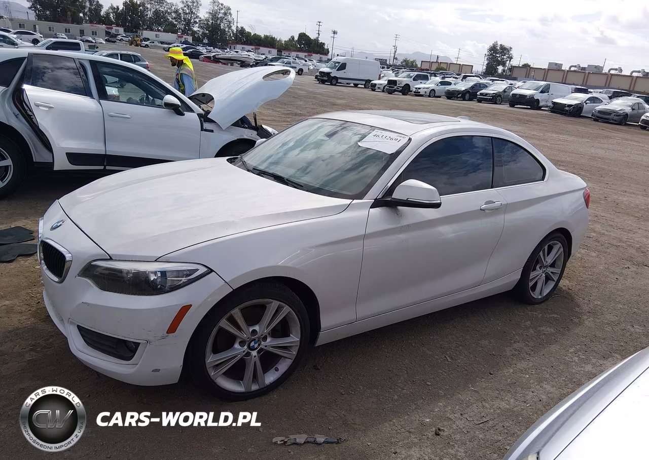 2015 BMW 228I VIN:WBA1F5C59FV257612 - 14