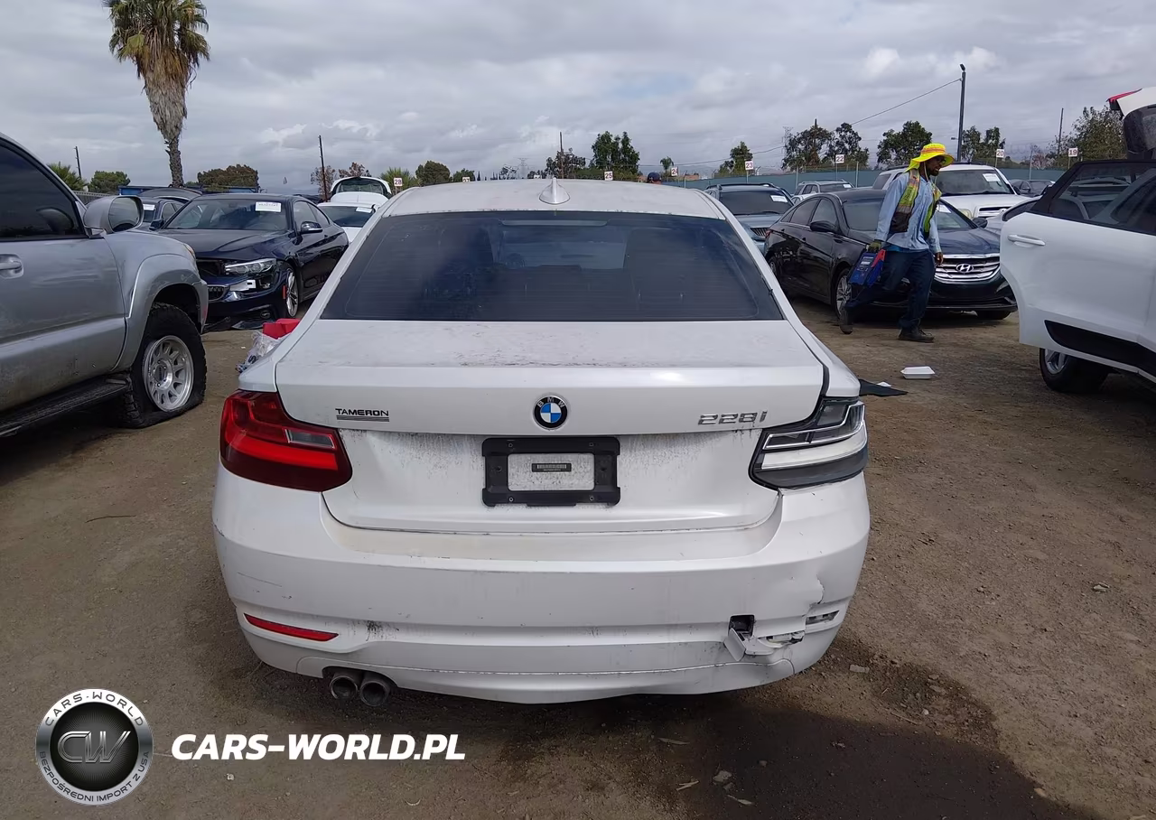 2015 BMW 228I VIN:WBA1F5C59FV257612 - 16