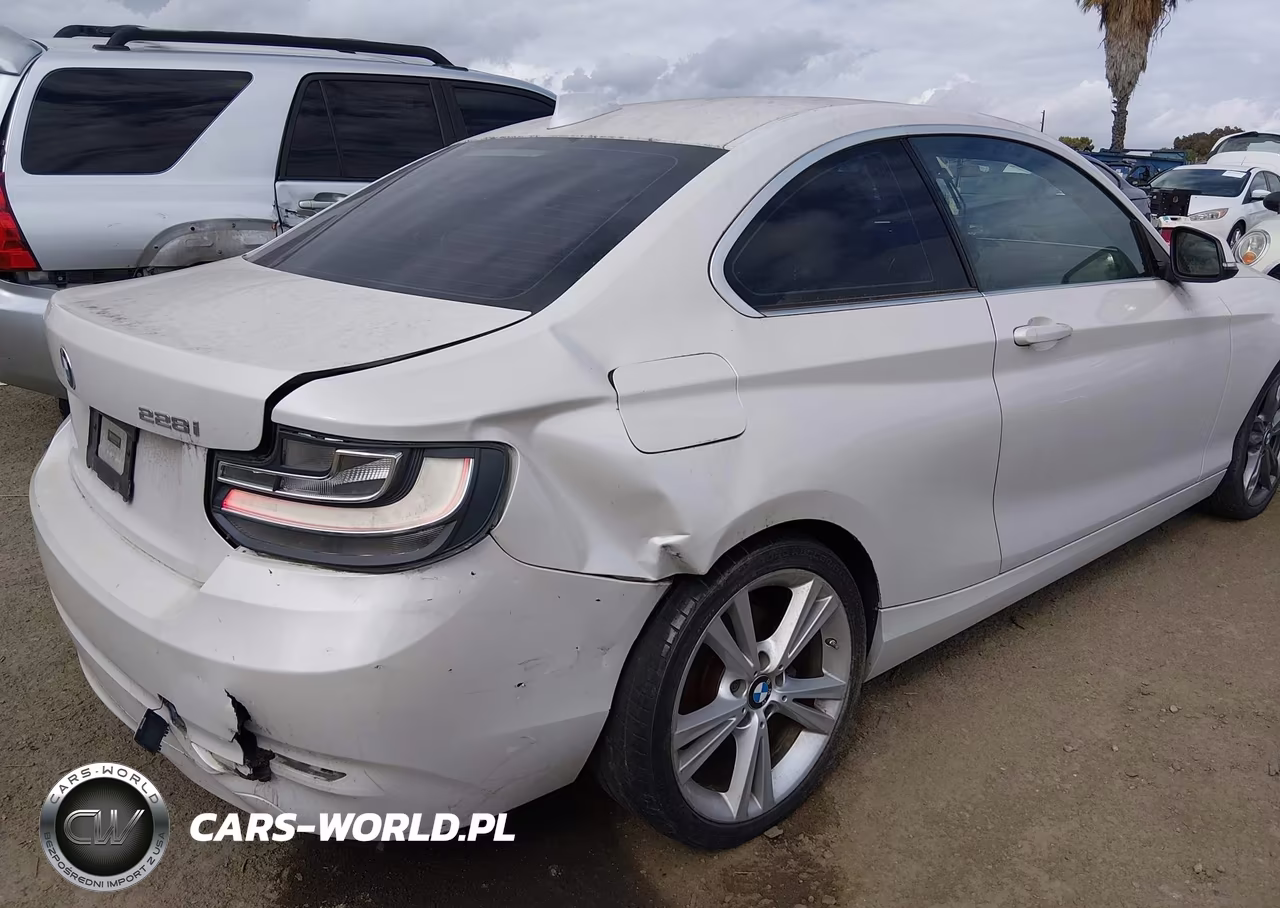 2015 BMW 228I VIN:WBA1F5C59FV257612 - 17