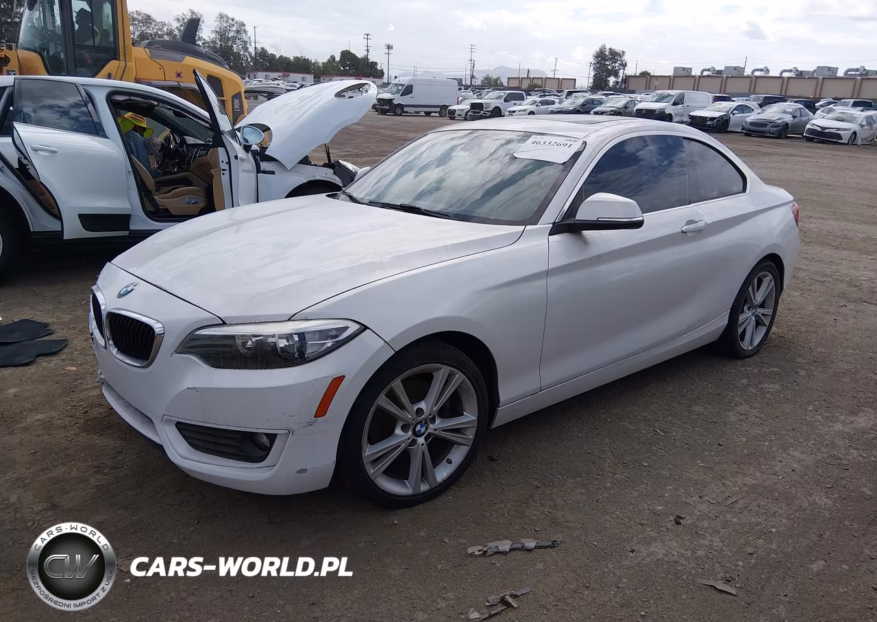 2015 BMW 228I VIN:WBA1F5C59FV257612 - 2