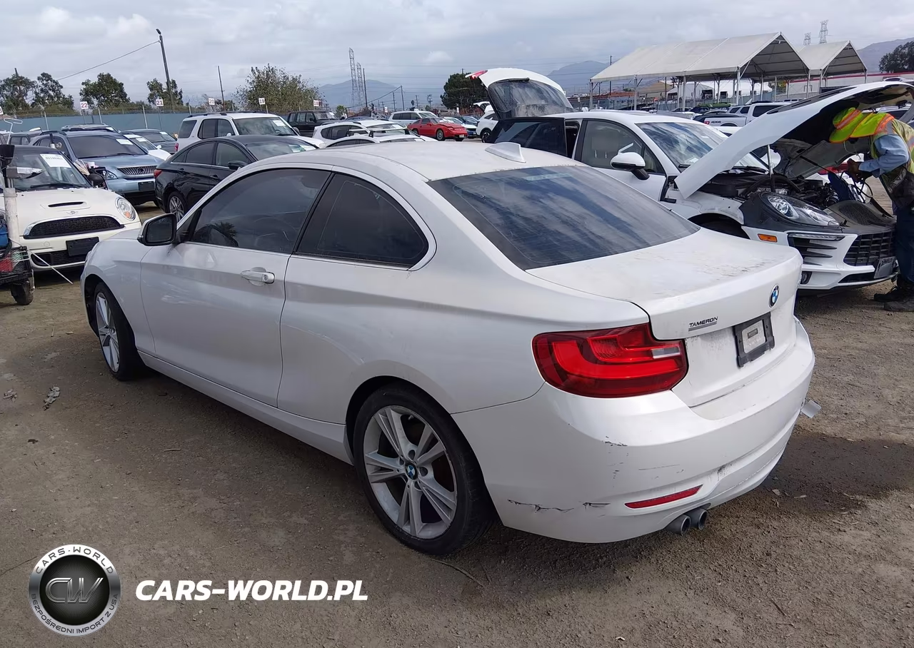 2015 BMW 228I VIN:WBA1F5C59FV257612 - 3