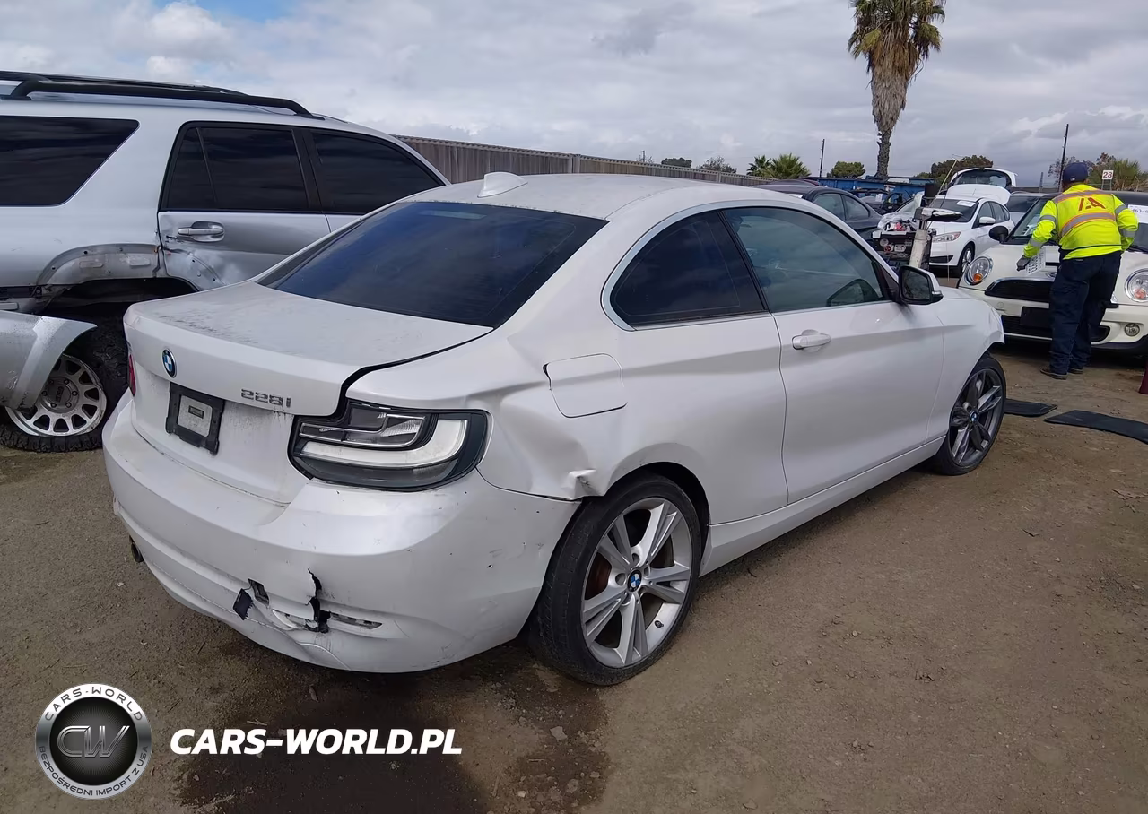 2015 BMW 228I VIN:WBA1F5C59FV257612 - 4
