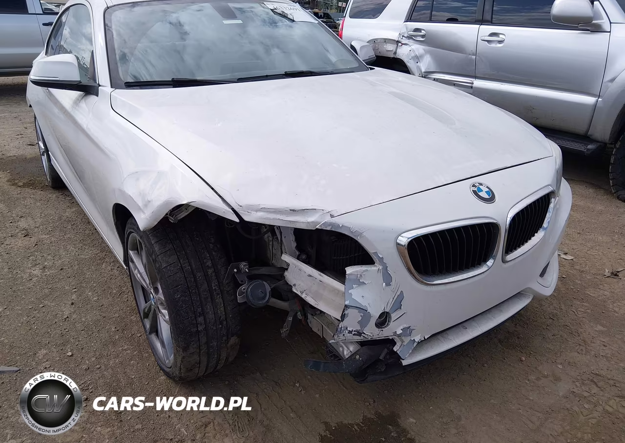 2015 BMW 228I VIN:WBA1F5C59FV257612 - 6