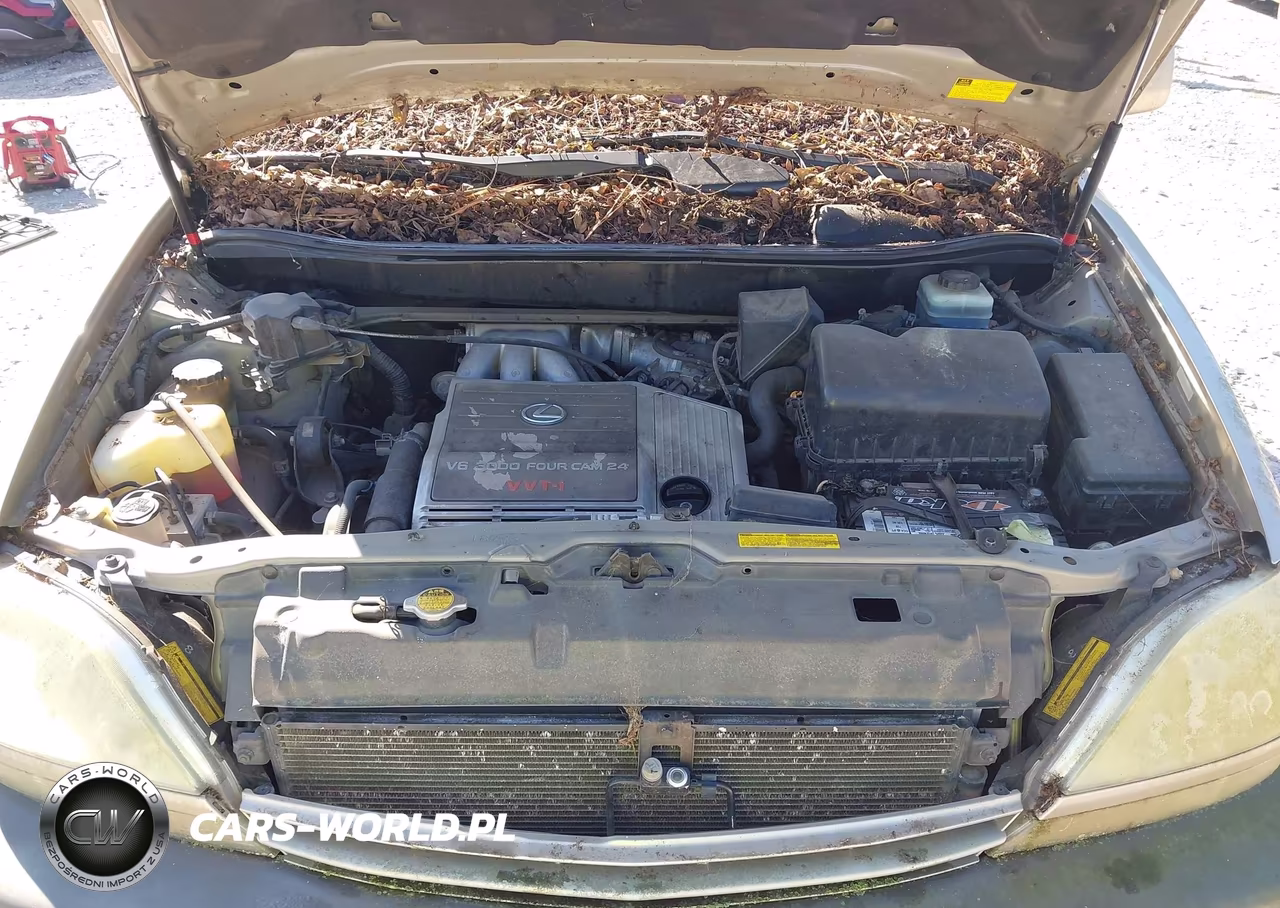 2001 Lexus Rx 300 VIN:JTJGF10U910096392 - 10
