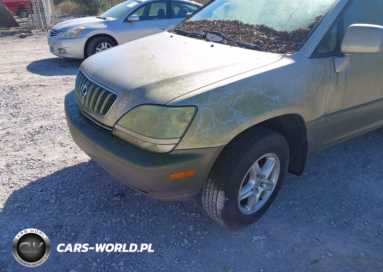 2001 Lexus Rx 300 VIN:JTJGF10U910096392 - 6