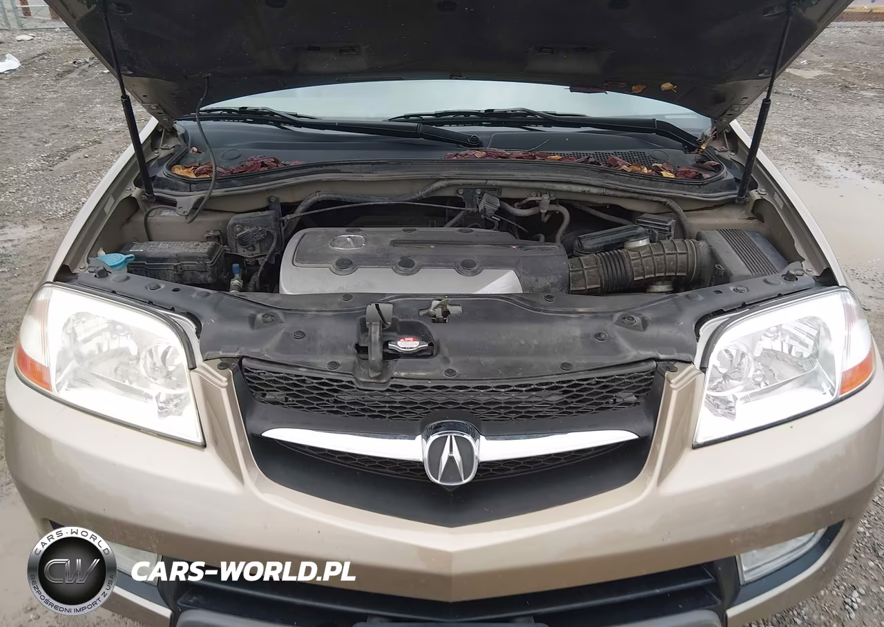 2003 Acura Mdx VIN:2HNYD18693H548725 - 10