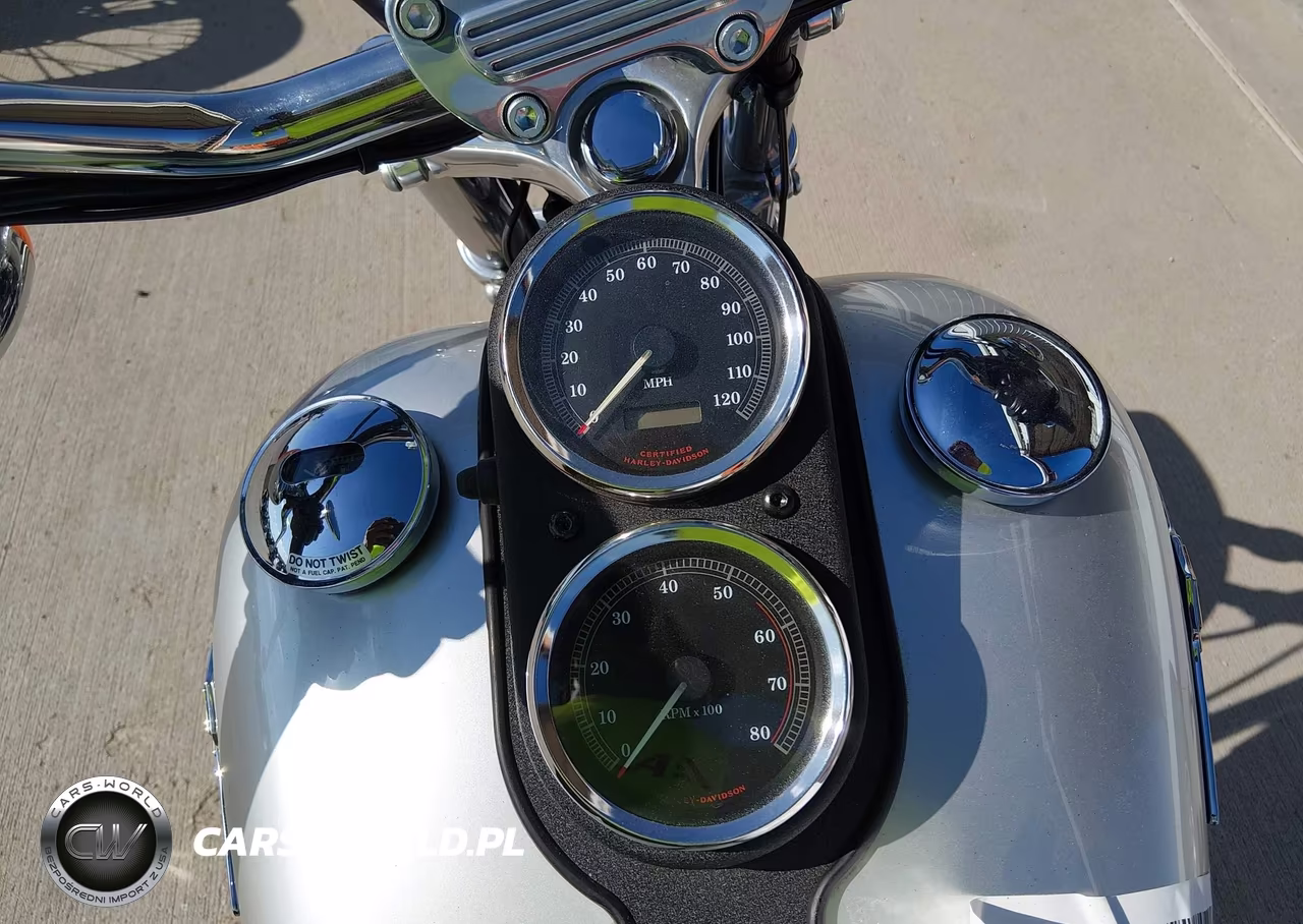 2003 Harley-Davidson Fxdl Anniversary VIN:1HD1GDV453K320232 - 7