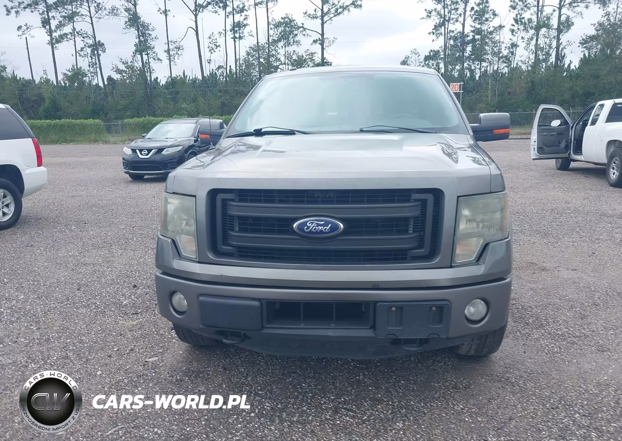 2014 Ford F-150 Fx4 VIN:1FTFW1ET2EFA48721 - 12