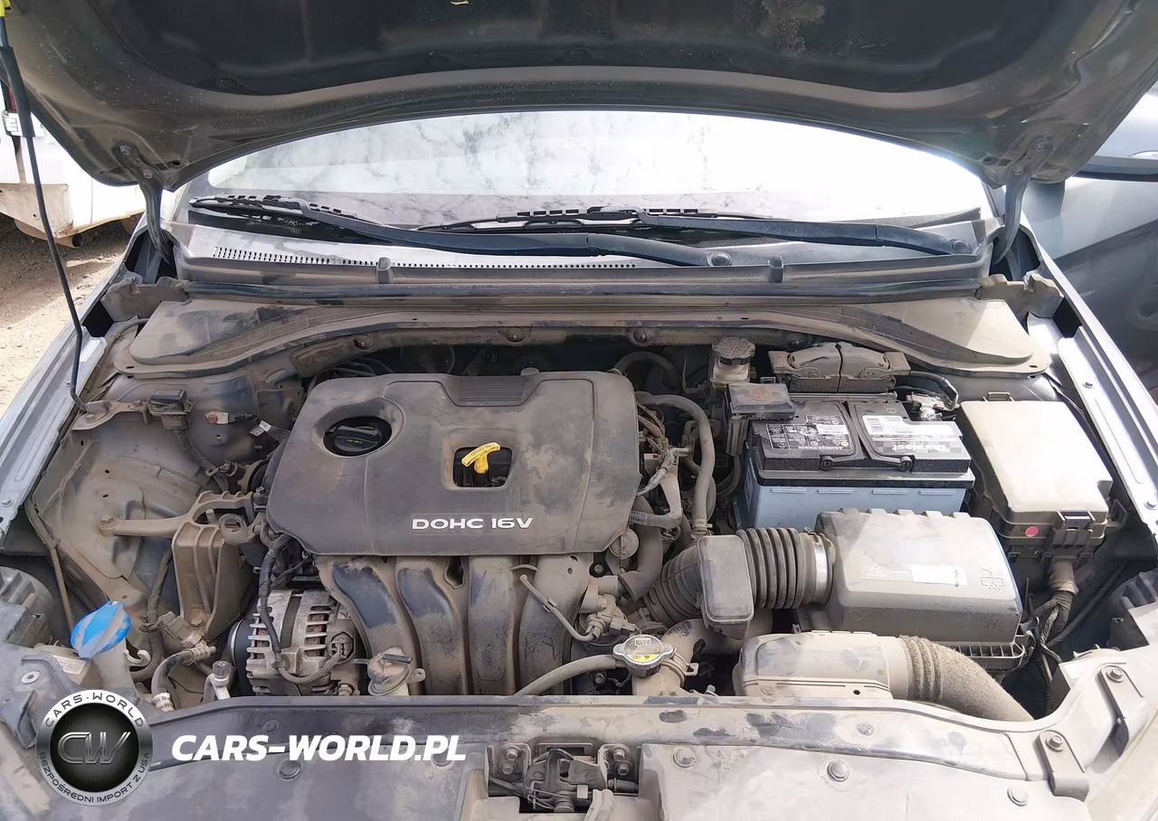 2017 Hyundai Elantra Limited VIN:KMHD84LF5HU263117 - 10