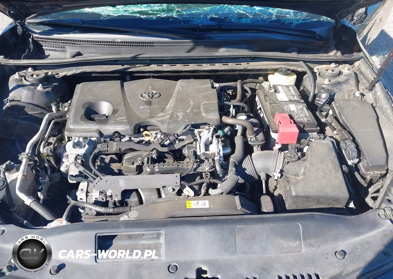 2018 Toyota Camry Se VIN:4T1B11HKXJU524327 - 10