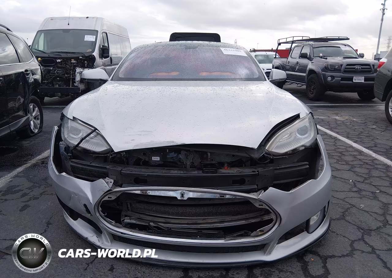 2013 Tesla Model S Performance VIN:5YJSA1DP7DFP06618 - 12