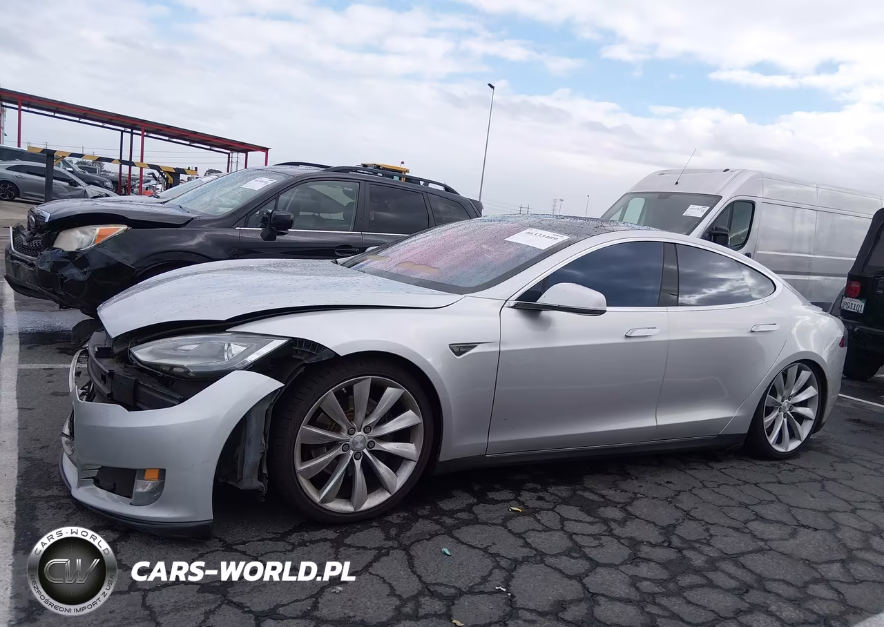 2013 Tesla Model S Performance VIN:5YJSA1DP7DFP06618 - 14