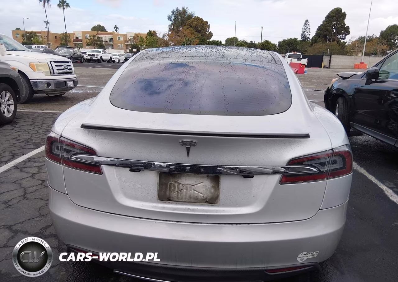 2013 Tesla Model S Performance VIN:5YJSA1DP7DFP06618 - 16