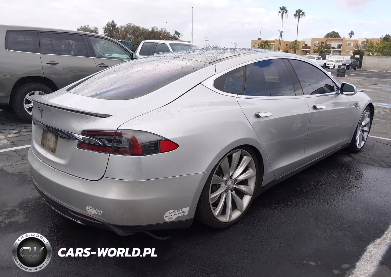2013 Tesla Model S Performance VIN:5YJSA1DP7DFP06618 - 4
