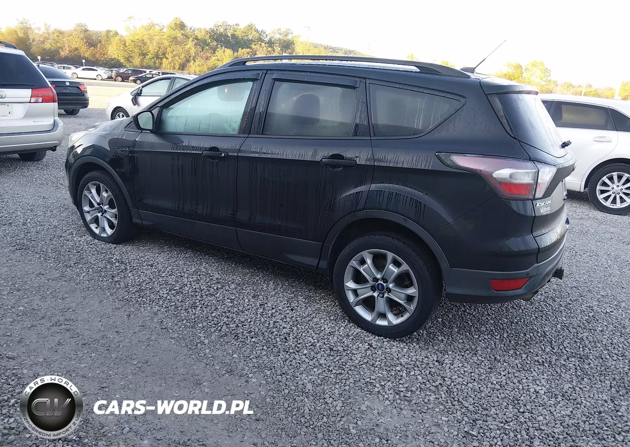 2017 Ford Escape Se VIN:1FMCU9G91HUA91676 - 3